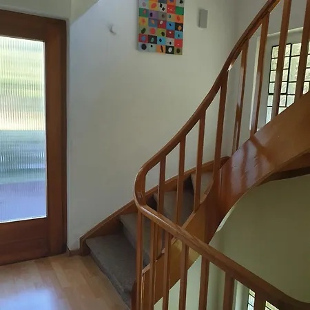 Famile Kameleon * Olsberg