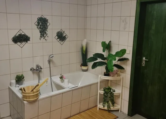 Famile Kameleon Olsberg